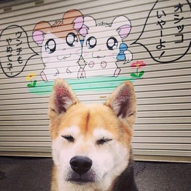 德甲决战夜，大场面先生范戴克，唯一性与统治力的终极试炼