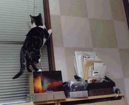 双红交响，当安菲尔德见证法兰西利刃与英格兰铁壁的史诗对决