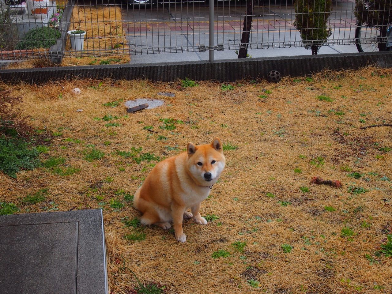 绿茵烽火，塞内加尔铁壁窒息沙特，萨拉赫独舞再续传奇