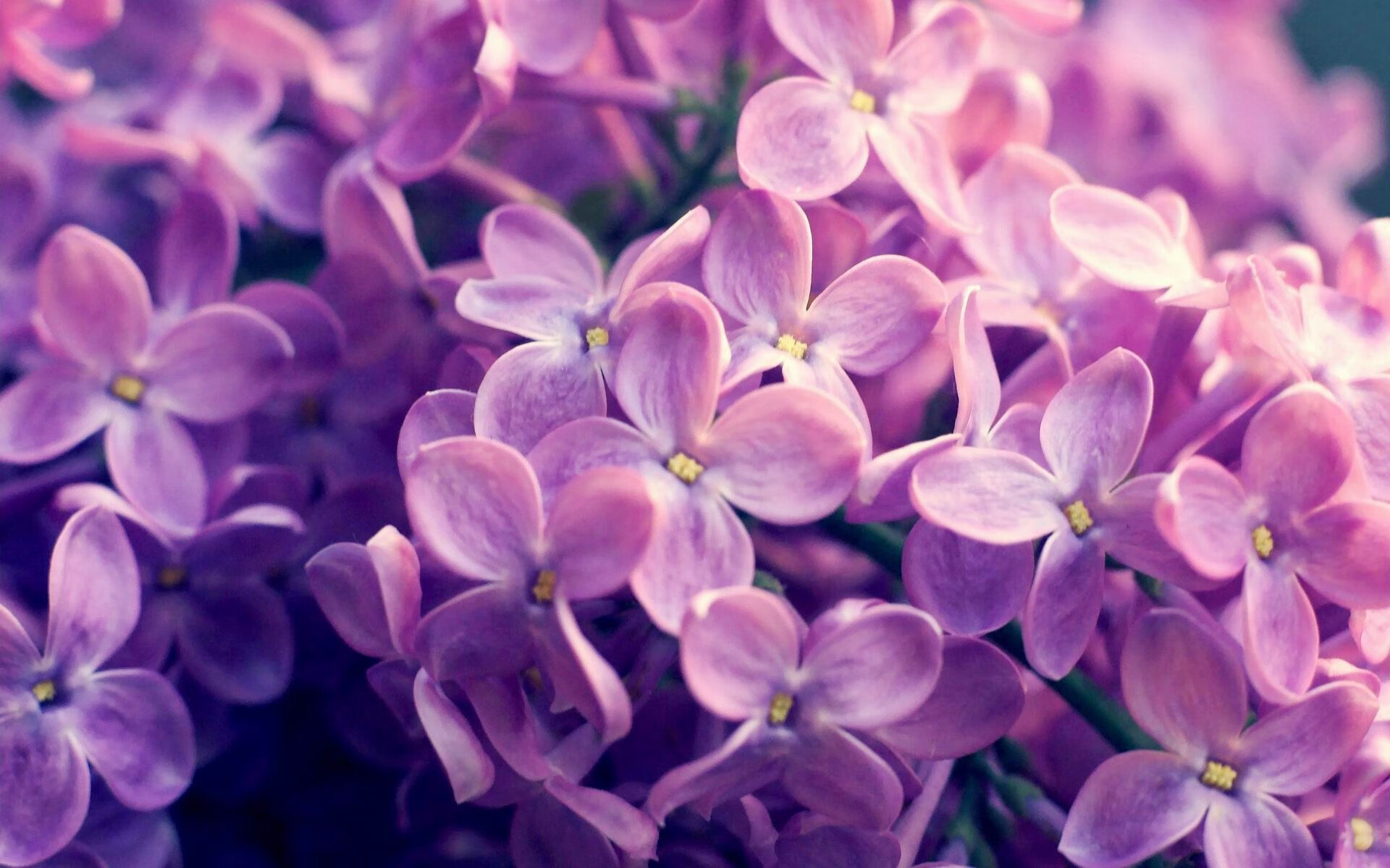 接管时刻，关键时间如何铸就NBA季后赛传奇