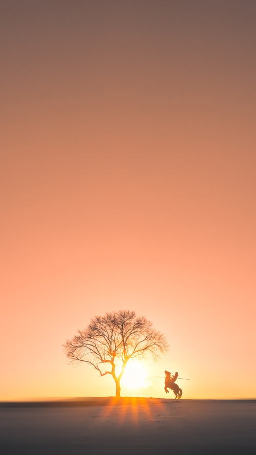 北欧神话再现？德里赫特一传一射导演挪威历史性胜利